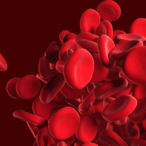 Blood Type